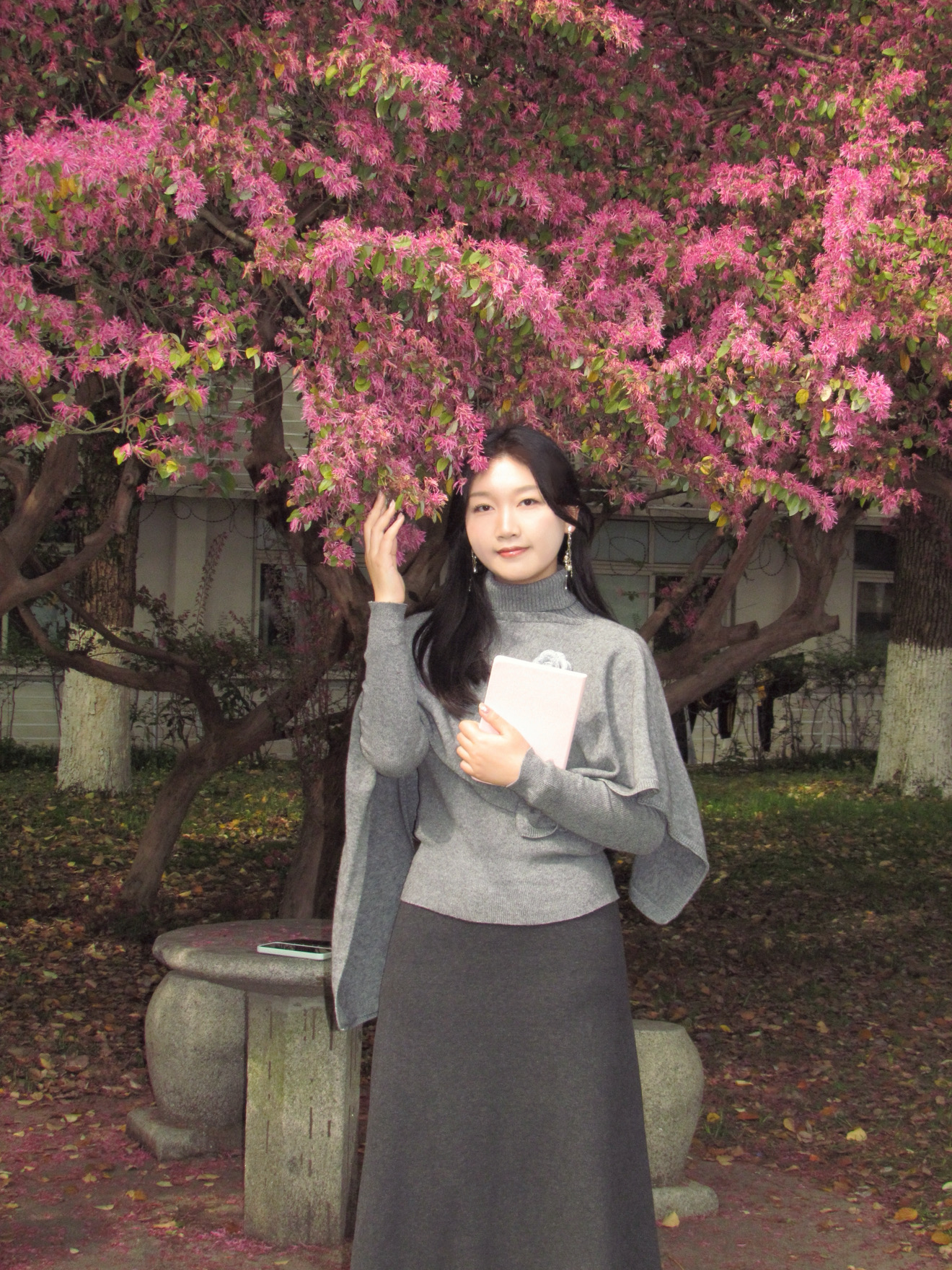 图示, 示意图

中度可信度描述已自动生成:ver1